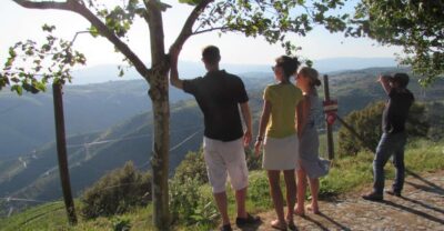 Porto: 3 Douro Valley Vineyards Tour with Lunch - Coffee Stop and the Climb Toward the Mountains
