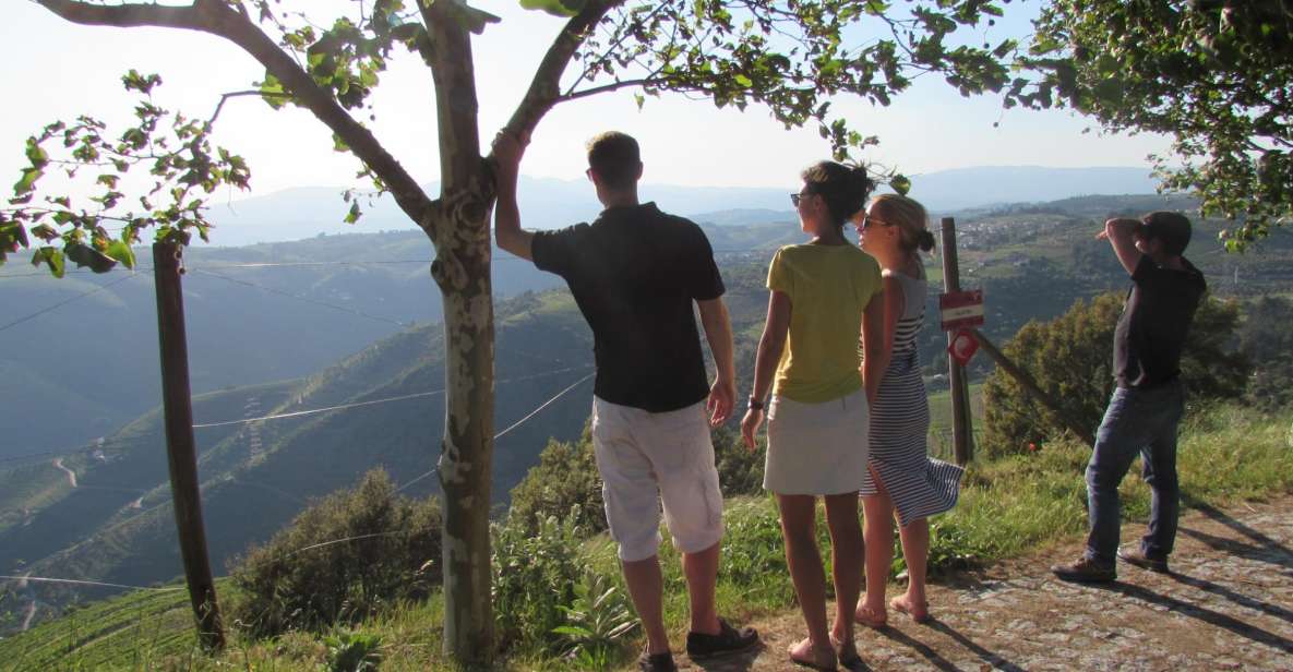 Porto: 3 Douro Valley Vineyards Tour with Lunch - Coffee Stop and the Climb Toward the Mountains