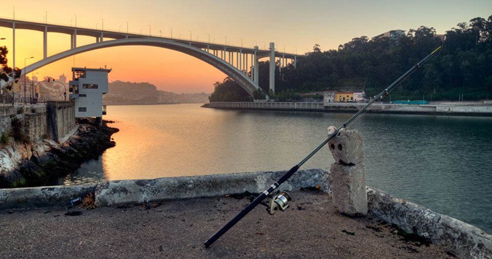 Porto: 3-Hour Bike Tour - Pushing toward the coast: beaches, parks, and seaside air at Foz