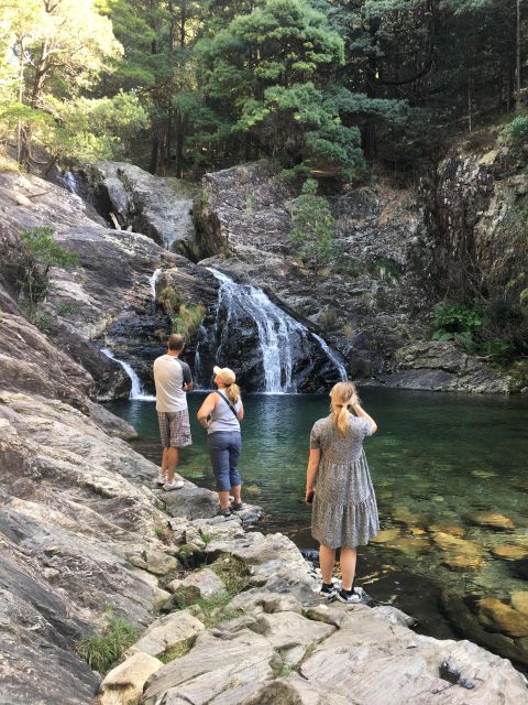 Porto and North coast Exclusive & Secret Waterfalls in 4x4 - Lunch at a typical tavern: tapas, vinho verde, and local drinks