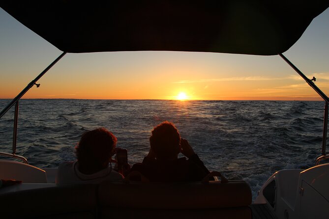 Porto Douro Private Cruise with Port Wine - Cais de Gaia: port wine cellars, terraces, and that wide river view