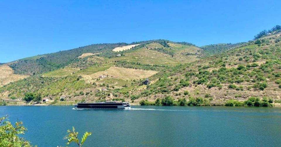 Porto: Douro Valley Tour with 2 Wineries, Lunch and Cruise - Is the $195 price tag fair for what you get?