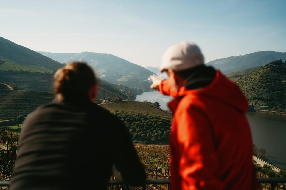 Porto: Douro Valley Tour with 2 Wineries, Lunch and Cruise - Your 8-hour Douro Valley plan starts in Porto (and moves fast)