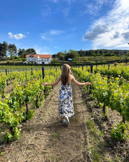 Porto: Douro Valley Tour with 2 Wineries, Lunch and Cruise - Vintage car in Gaia and Porto-tour value: small extras, real payoff