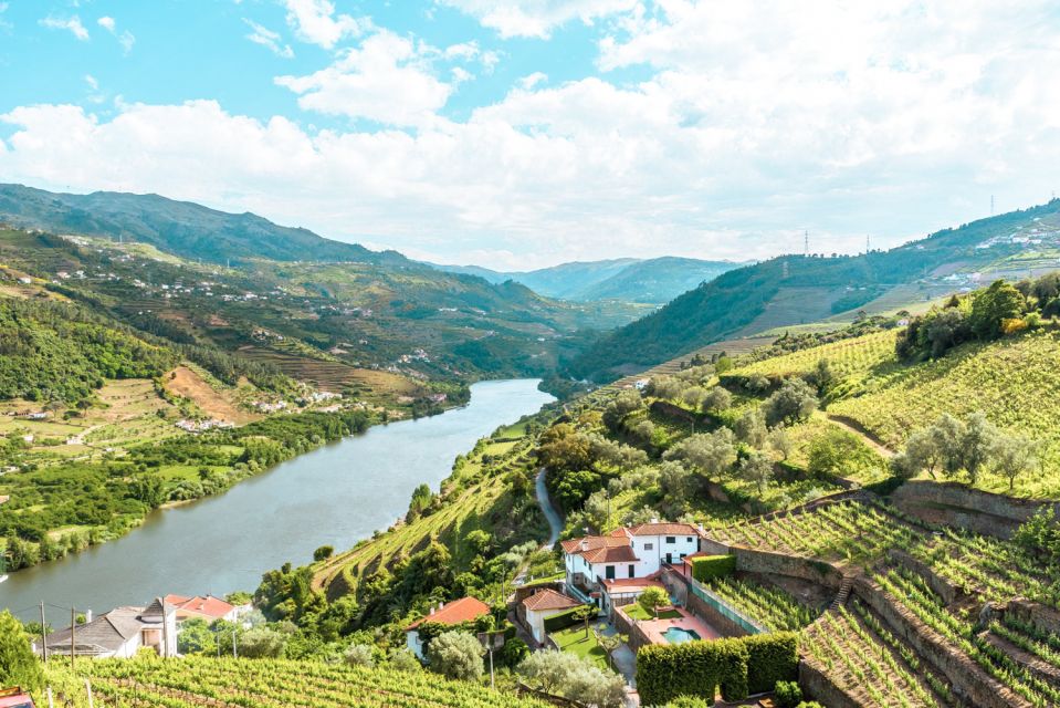 Porto: Douro Valley Tour with Wine Tasting, Cruise and Lunch - Key highlights you’ll care about