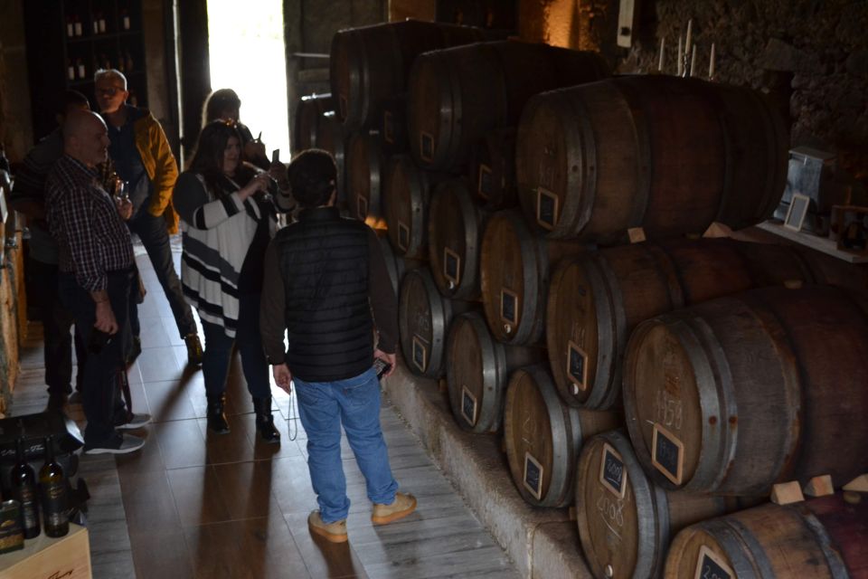 Porto: Douro Valley Vineyards Tour with Lunch & River Cruise - Key highlights worth circling