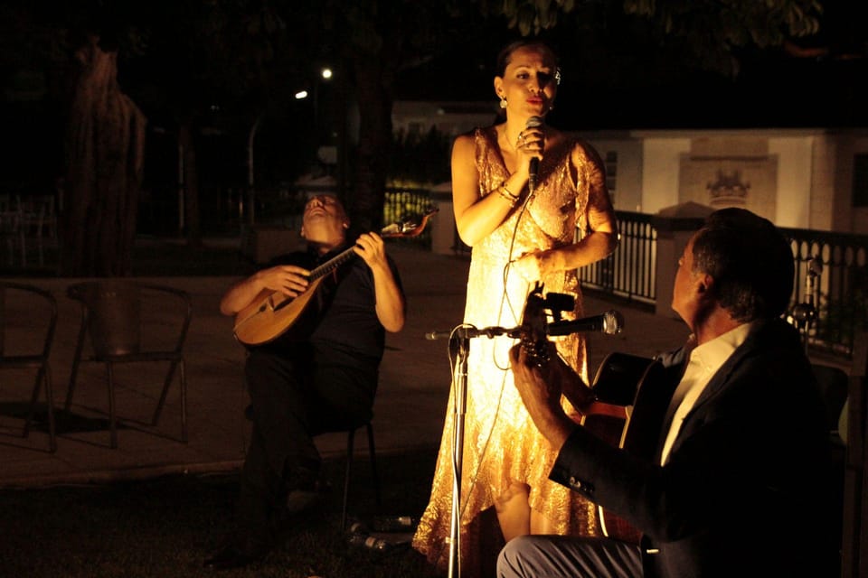 Porto: Fado Show with Dinner in a Traditional Fado House - Dinner in a Traditional Fado House: What You’re Really Paying For