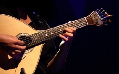 Porto: Fado Show with Dinner in a Traditional Fado House - Pickup, the Van Ride, and Why the Small-Group Setup Matters
