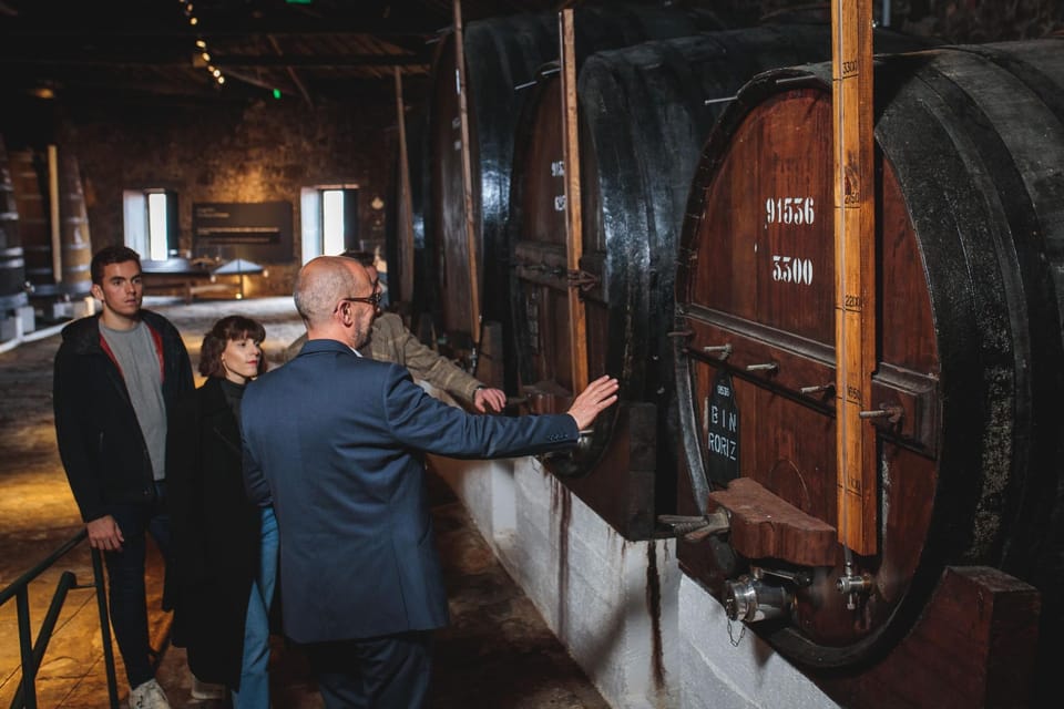 Porto: Fonseca Cellar Tour & Fado Show with Optional Dinner - Should you book Fonseca Cellar + Fado + optional dinner?