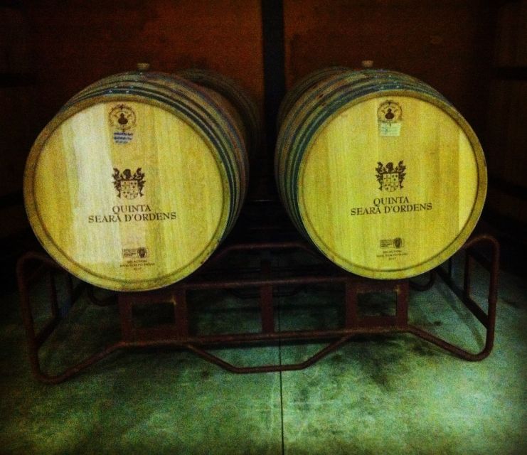 Porto: Half-Day Small Group City Tour with port wine tasting - A 4-hour Porto hits-list with time to actually look