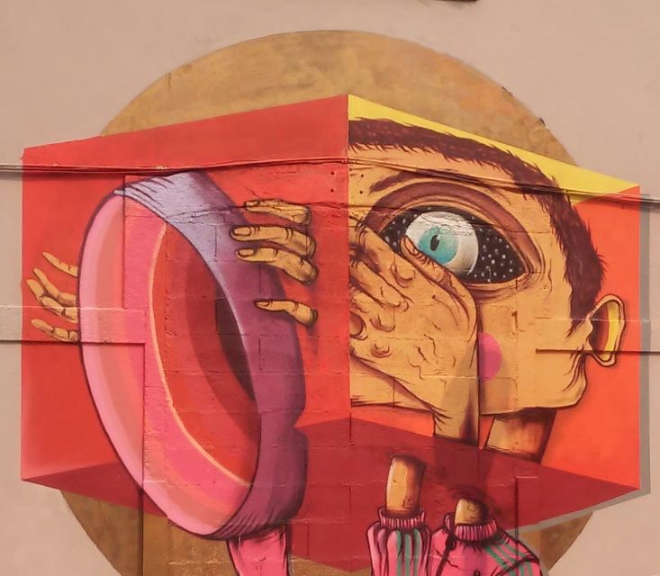 Porto: Half-Day Street Art Tour - How the tour explains street art as a language