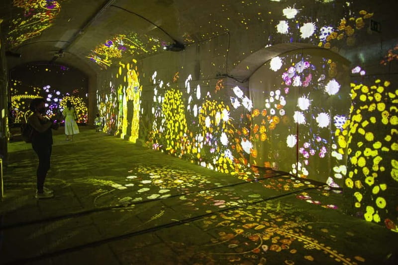Porto: Impressive Monet & Brilliant Klimt - Where to Go in Porto and How to Time It Right