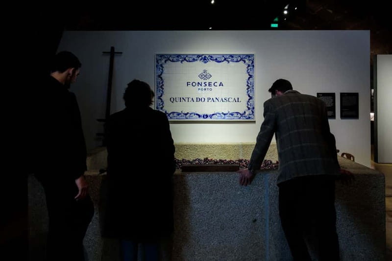 Porto: Port Cellar Visit and Wine Tasting at Fonseca - Who should book Fonseca in Porto (and who should skip it)