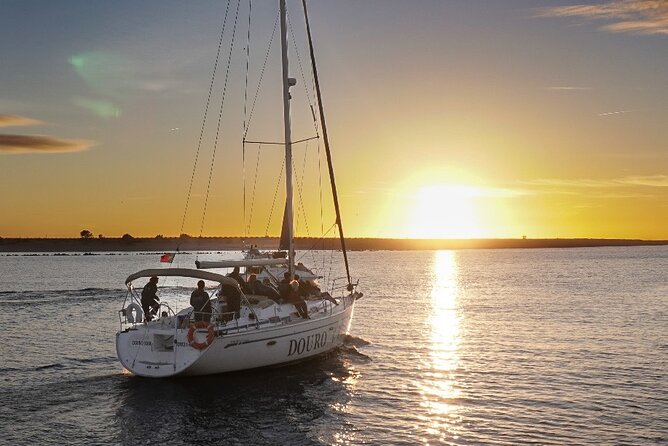 Porto: Sunset or Daytime, Charming Sailboat Cruise on the Douro River - Key things I’d circle in the schedule