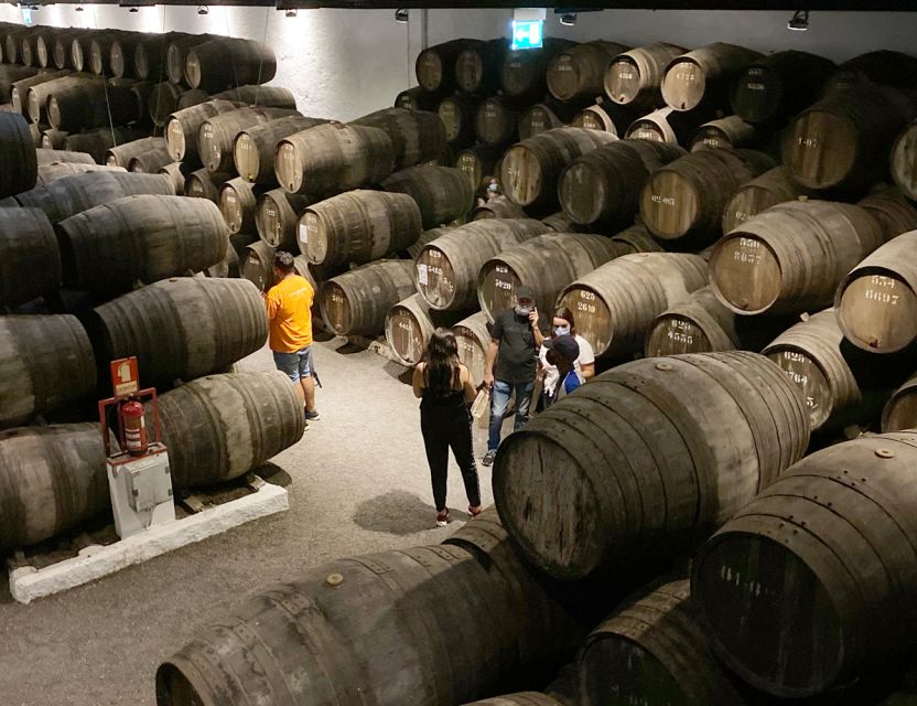 Porto: Wine Tasting with Tapas Walking Tour - Price and value: why $53 can feel fair for what you get