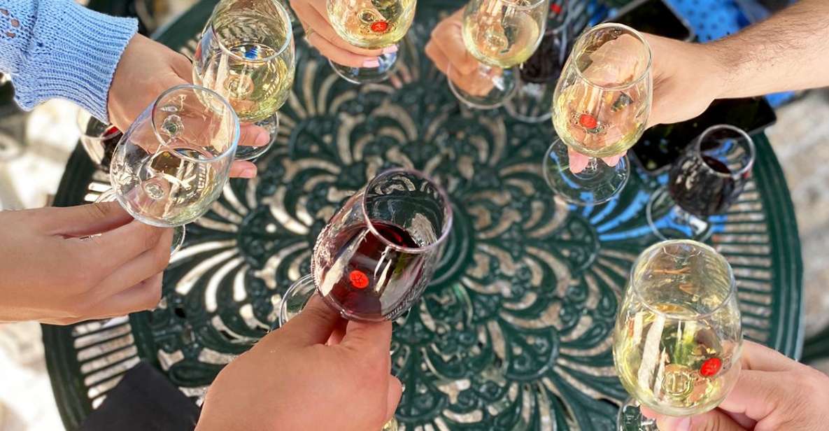 Porto: Wine Tasting with Tapas Walking Tour - How the Porto wine and tapas tour works in real time