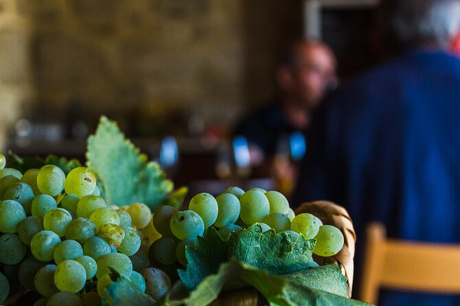 Private Culture and Wine Tourism Tour - Timing, Pickup, and How to Make the Day Feel Easy