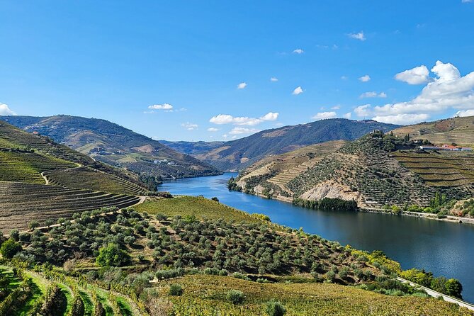 Private Douro Valley Tour (2 wineries + boat) - Key highlights worth your attention