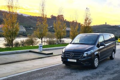 Private Douro Valley Tour (2 wineries + boat) - Stop 1 in Peso da Régua: wine and olive oil from a smaller producer