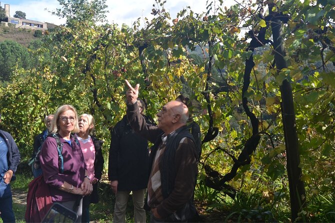 Private Vinho Verde Region Wine Tour from Porto Including Lunch - Key points worth your attention