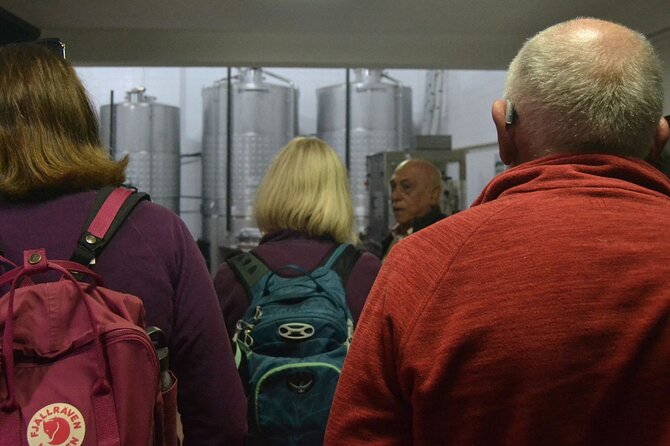 Private Vinho Verde Region Wine Tour from Porto Including Lunch - How the pacing works in an 8–9 hour day