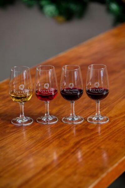 Vila Nova de Gaia: Porto Discovery Tasting - Checking In at Quevedo Port Wine (and What to Expect When You Arrive)